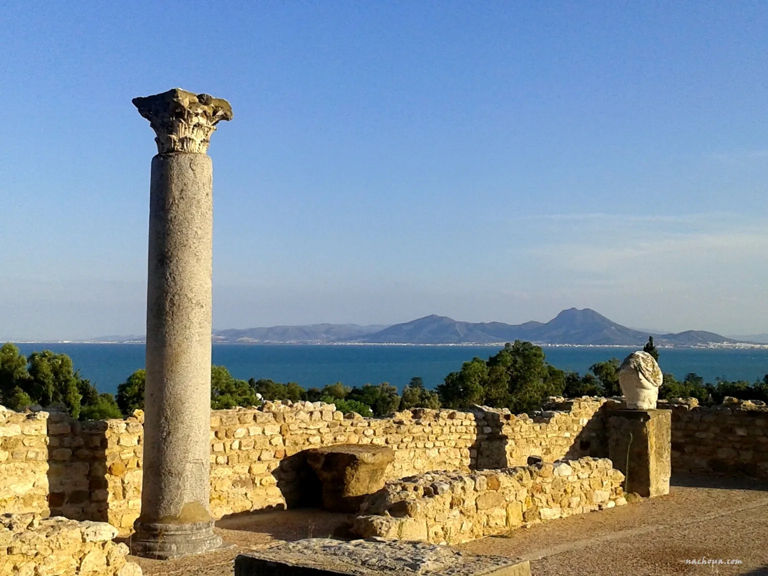 CONTRASTI DELLA TUNISIA