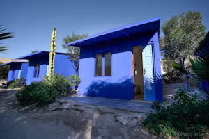Windhunter camp 6